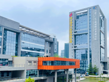 打出“1+N”政策组合拳，禅城科创Next level｜禅聚英才，城就未来