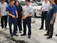 鲁锦锋督导调研2024年典型村培育工作情况