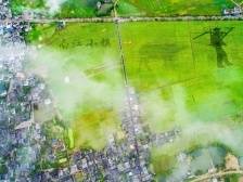 郁南县 | “丝路古韵”乡村振兴示范带