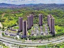 深圳龙华：加“数”闯关开“新”局