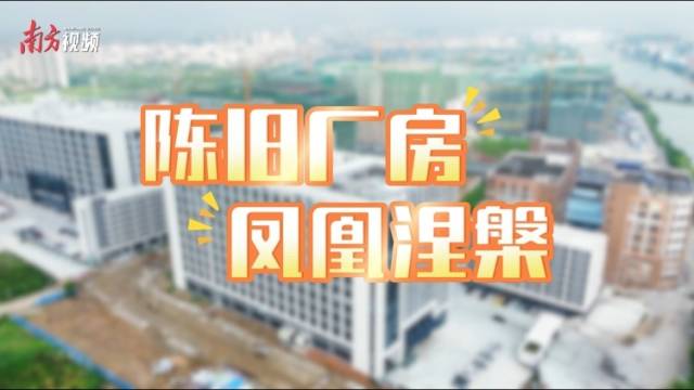 小村实现大发展，中山这处连片工业区受企业青睐｜陈旧厂房 凤凰涅槃