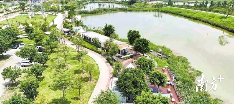 那龙河碧道旁美的湿地公园营地。