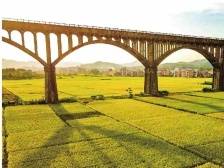 南方日报 | 罗定市：做活“土特产” 绘就好“丰”景