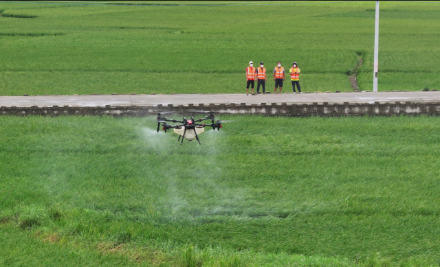 天禾农服团队紧张作业。