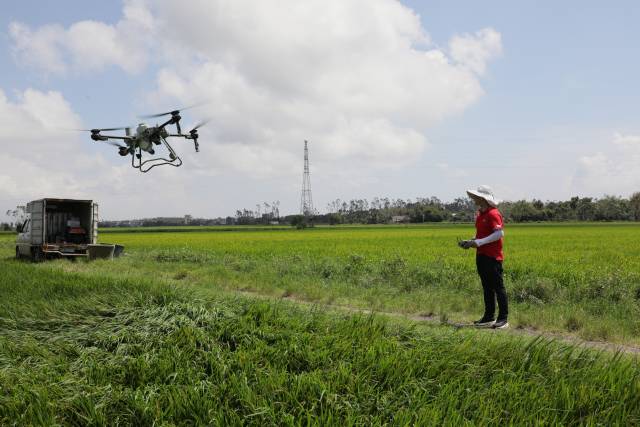 天禾农服团队紧张作业。