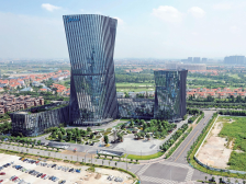 南方观察｜草灌乔，向新行