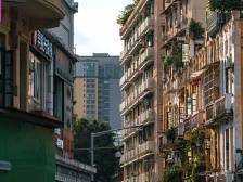 手绘创意地图！国庆期间来体验“食在东山”｜百年东山·潮见未来⑩