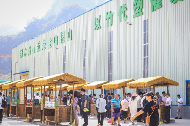 香雪制药首尝创业板配股拟10配3募16亿