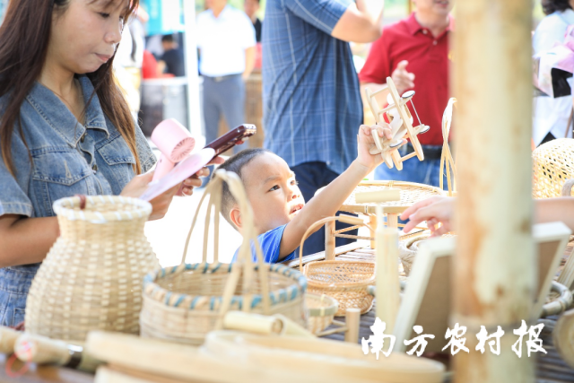 西牛麻竹笋已形成了以竹代塑、代建材、代碳、代粮、竹笋生物制剂等全产业链业态。 西牛麻竹笋已形成了以竹代塑、代建材、代碳、代粮、竹笋生物制剂等全产业链业态。
