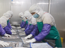 【三十而励 名企新篇】明基水产：推动“渔农共富”为世界奉上“新兴味道”