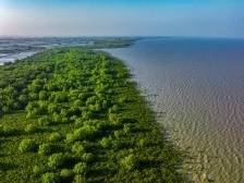 文能创“汇”武能硬控台风，什么“国宝”这么牛？| 刷“新”广东⑥