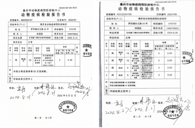 经由荧光RT-PCR检测，博罗县清扫禽流感。