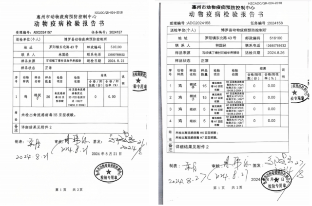 iPhone边框“变色”壁纸 隐藏Dock栏