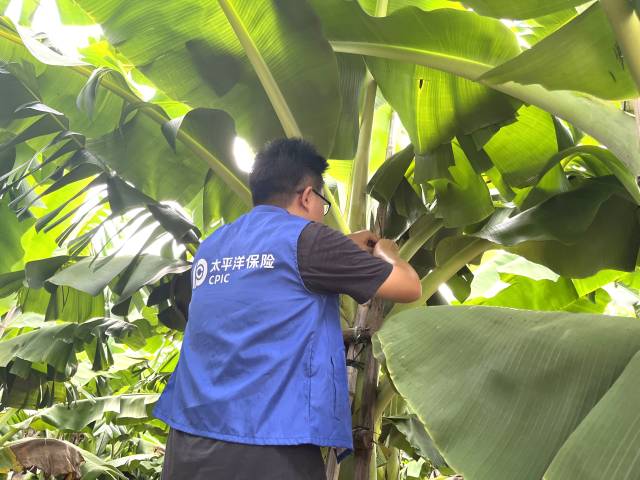 受訪者供圖