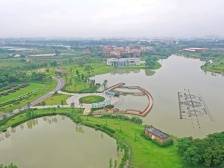 市委全会评论｜三水：北向打头阵，产业向新行