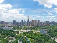 解读｜佛山市委全会提到的新词，你看懂了吗？