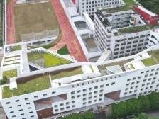 福外（竹林）学校：既起新楼，也留老树｜福田工务署精品项目④