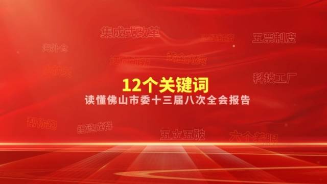 用12组词，读懂佛山市委全会