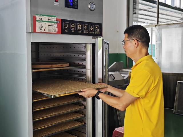 小型家用桂圆烘干机。