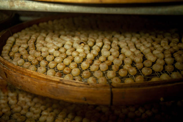 烘干的桂圆肉。