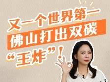 又一个世界第一，佛山打出双碳“王炸”！｜叶·问