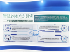 广东生猪养殖规模化率已达83.1%，智慧养殖如何引领养猪业未来？