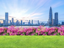 十个系数，读懂深圳现代化探索