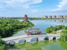 过国庆 来水乡｜麻涌“森”呼吸，超自然够野趣（附视频）