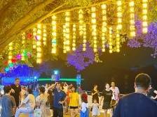 “潮涌巴江”，点亮赤坭