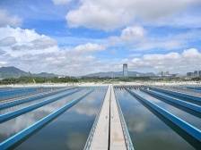 东莞千万人口受益！珠三角水资源配置工程东莞配套项目迎新进展｜东莞“项”前冲