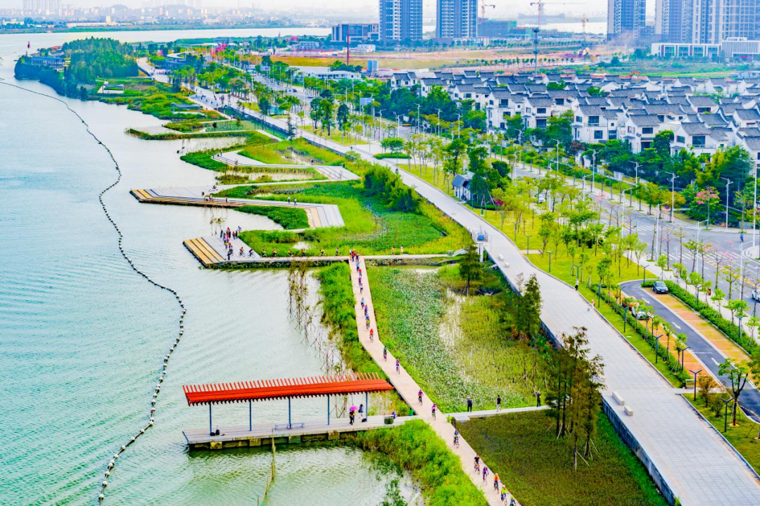 黄杨河湿地公园。 黄杨河湿地公园。