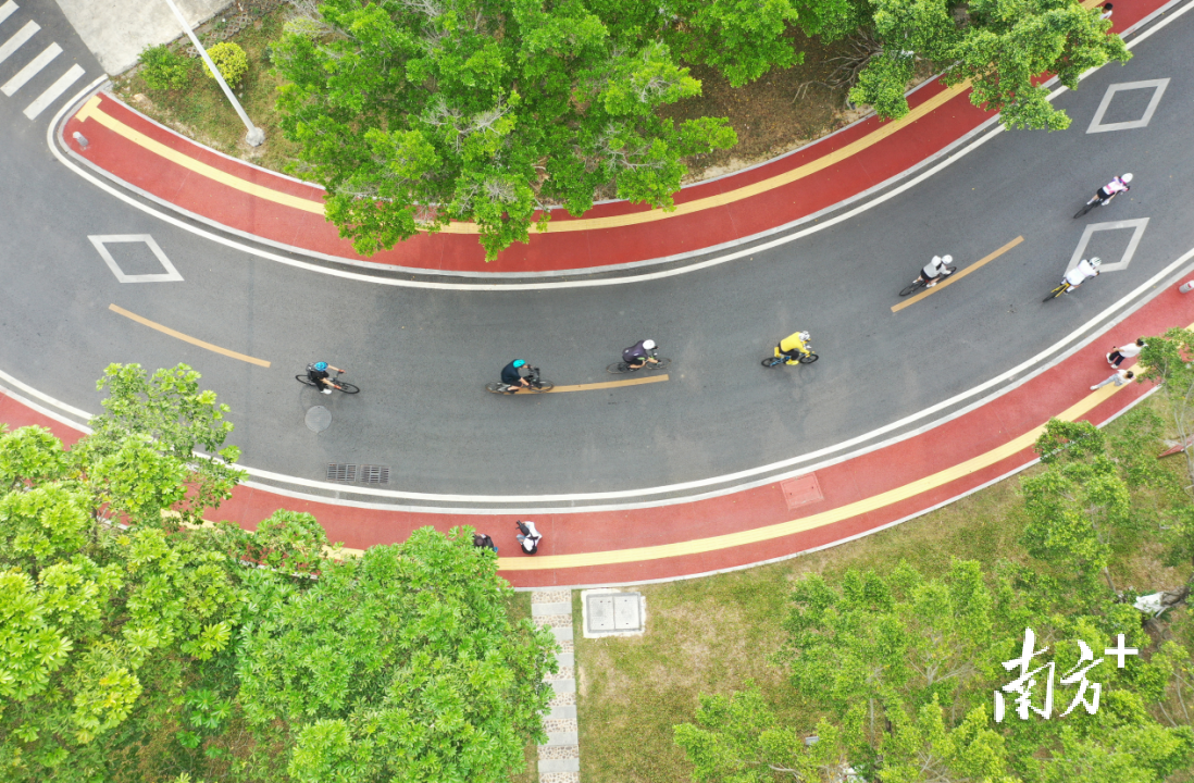 金湾骑行。 南方+记者 关铭荣 摄 金湾骑行。 南方+记者 关铭荣 摄