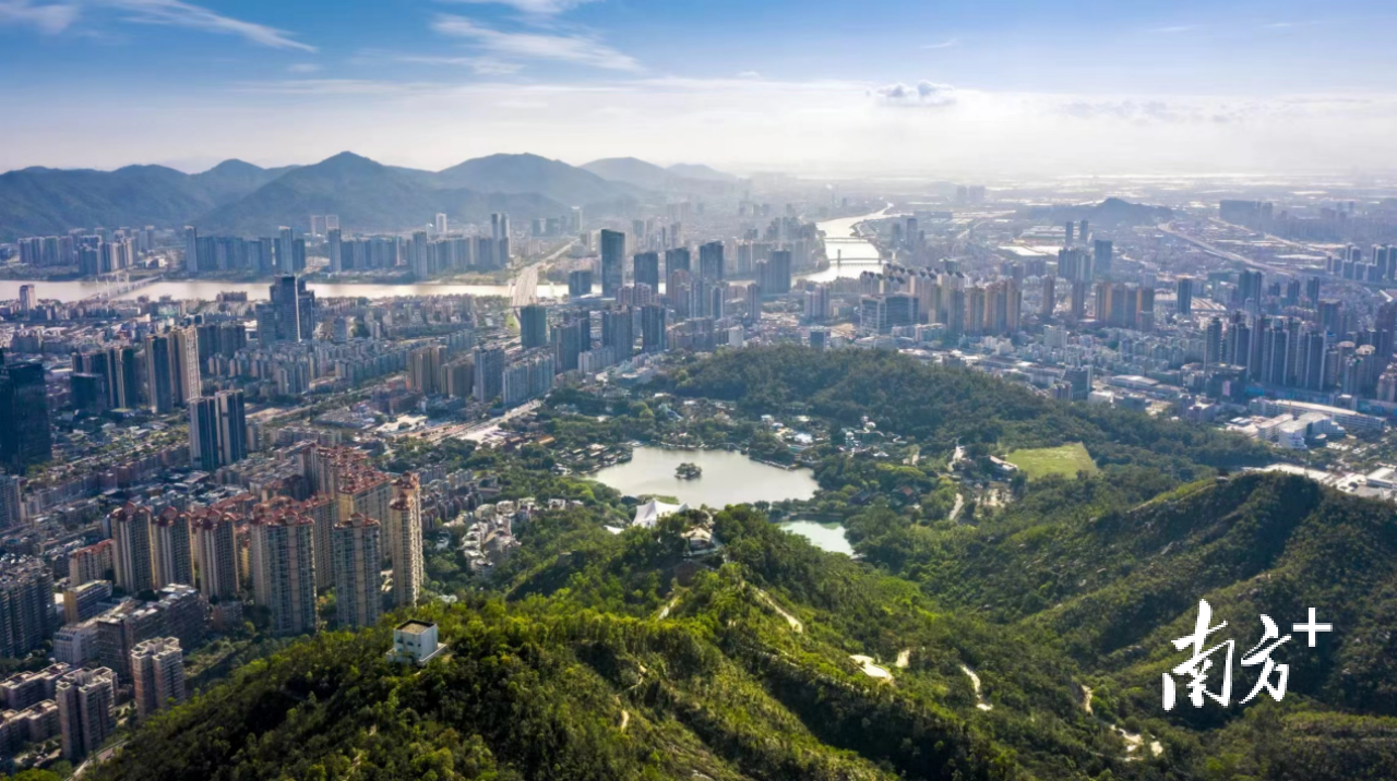 板樟山森林公园。 南方+记者 钱文攀 摄