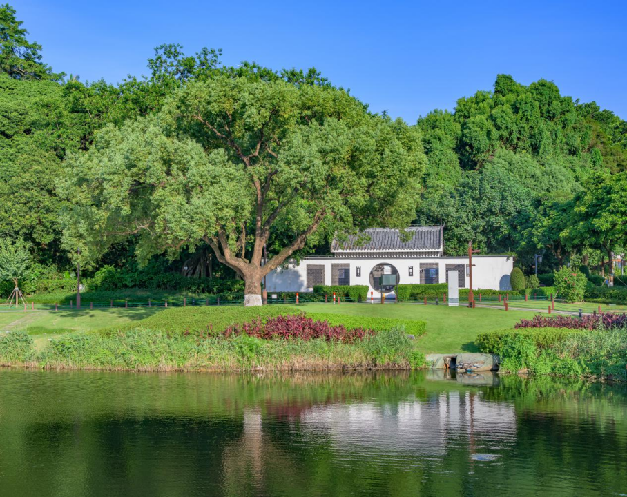 共乐园古树群。