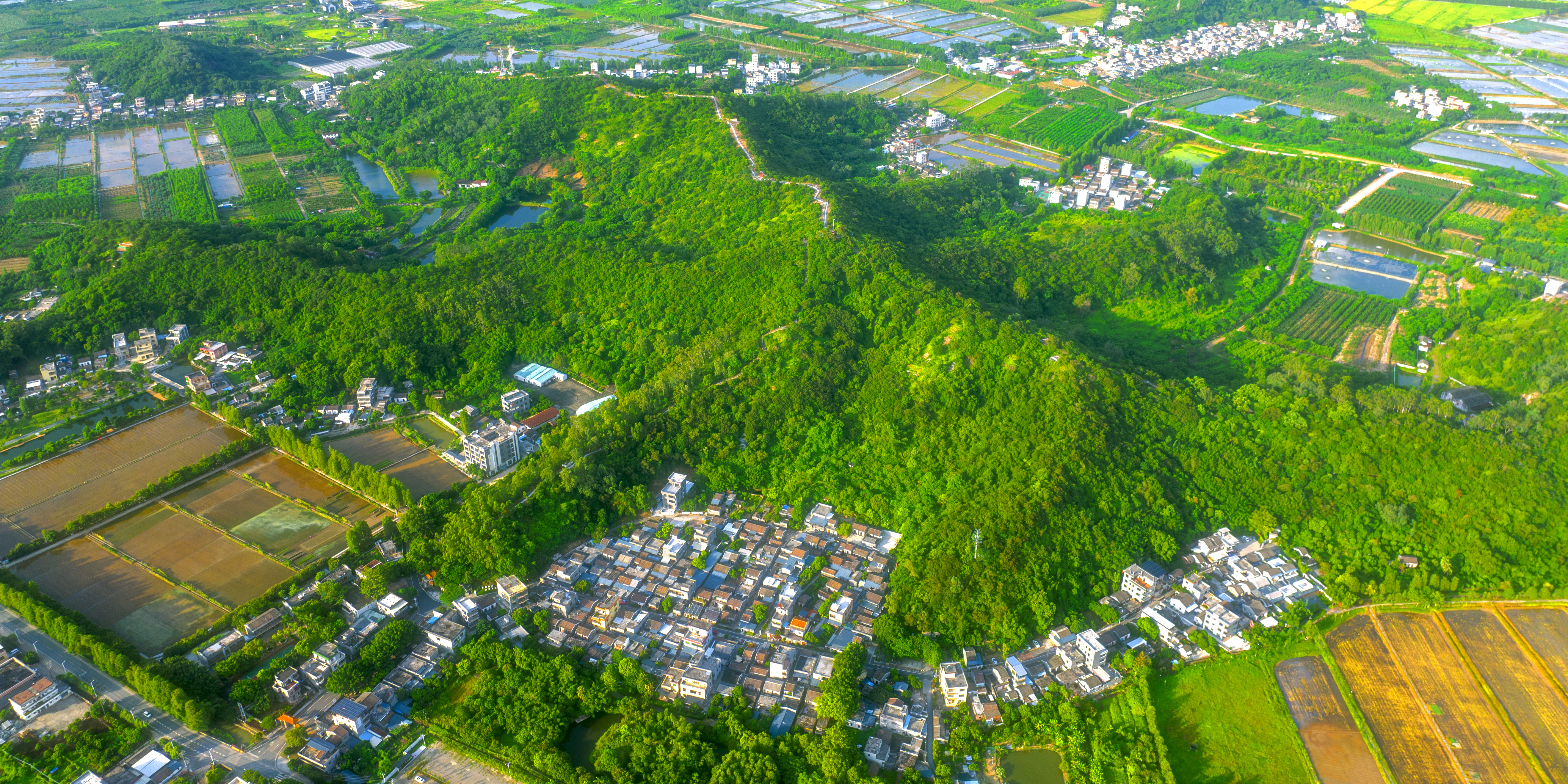 五指山山地公园。 黄辉宁 摄