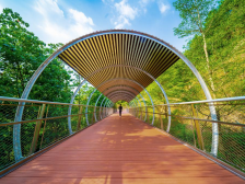 用脚步丈量珠海，一程山水一程景｜游绿美⑤