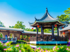 打包浪漫！珠海宝藏露营地等你来｜游绿美⑥