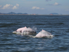 国庆遛娃，珠海这些地方好玩又涨知识｜游绿美⑦