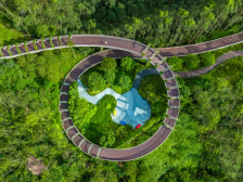 置身天然氧吧，来珠海享受绿色“森呼吸”｜游绿美④