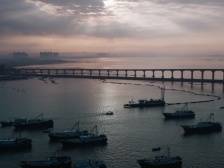 微纪录片｜博贺·码头故事