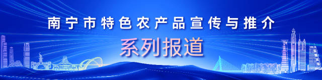 食界顶流！马山黑山羊靠什么出圈？