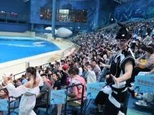 国庆假期第五日，全省4A级及以上景区接待游客247.8万人次