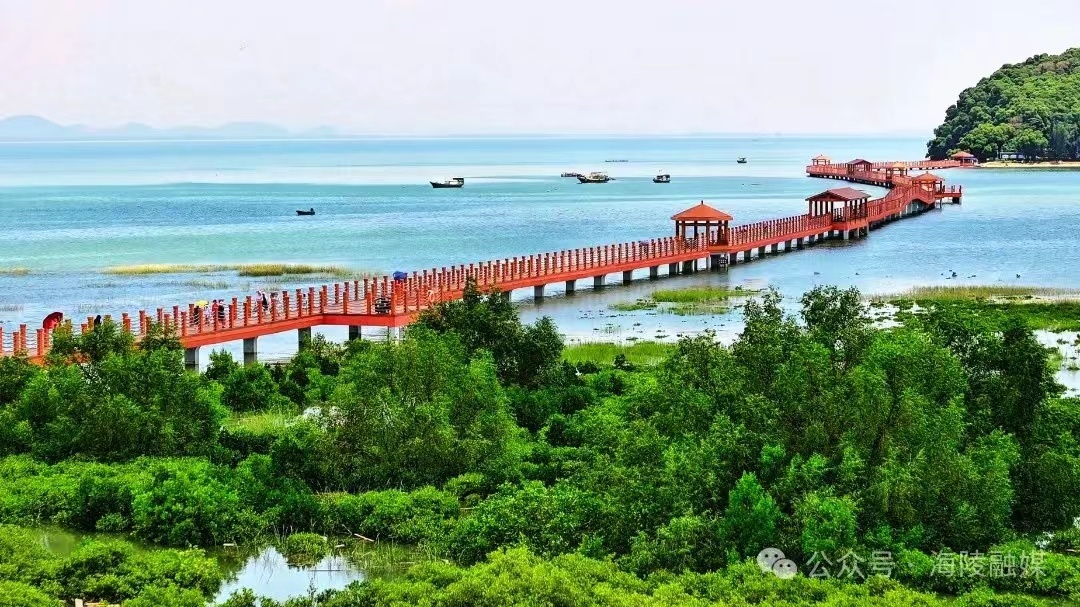 阳江海陵岛红树林国家湿地公园。海陵融媒体中心供图