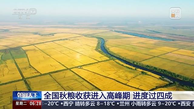 “英德红茶”主题公交上线,解锁CityBus全新体验