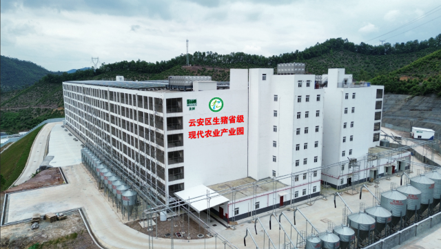 优质生猪标准化规模养殖基地项目是云安区生猪产业园的核心项目之一。 优质生猪标准化规模养殖基地项目是云安区生猪产业园的核心项目之一。