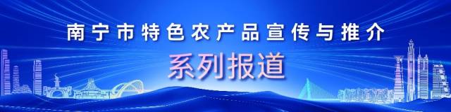受访者供图