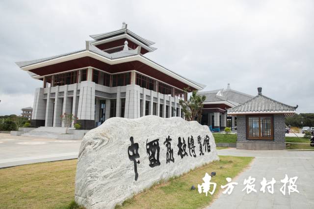 中國荔枝博覽館坐落于茂名市根子鎮(zhèn),。