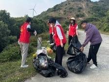 守护青山一片绿！太平镇开展“公益环保行·爱国卫生行动”主题党日活动