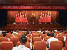 姜岳新：做到“四个一定”，闯出改革新天地｜区委全会