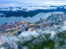 中国式现代化的深圳实践·“一把手”说｜向“新“谋“兴”，盐田释放这些重要信号